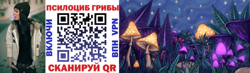 Псилоцибиновые грибы Magic Shrooms Дно